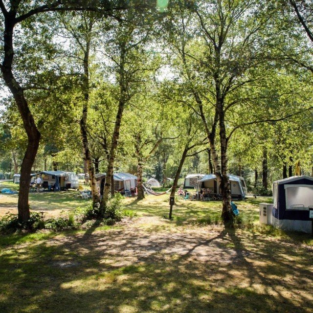 Pre-season pitch 2026