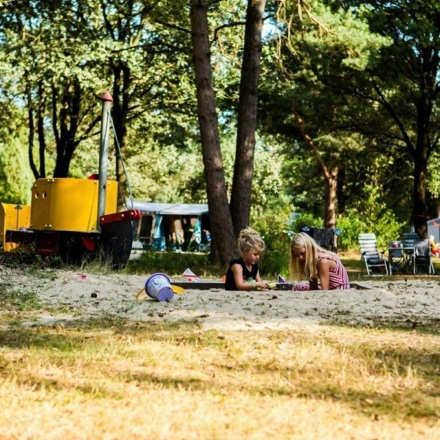 Kamperen met kinderen drenthe berenkuil
