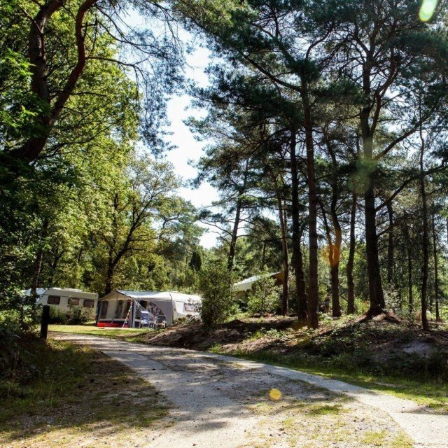 May holiday-Ascension Day-Pentecost