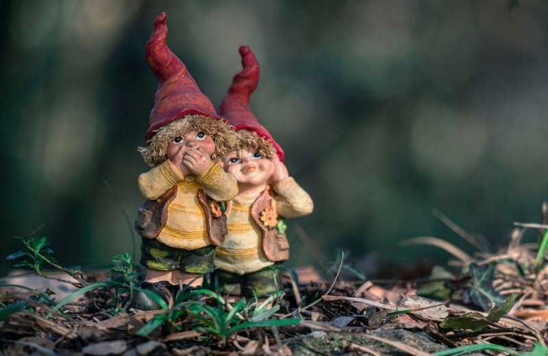 Kingdom of the Gnomes